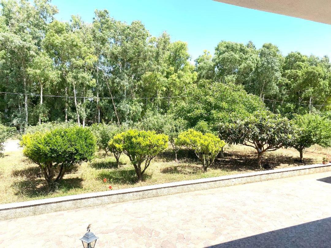 Villa Pedrosu Casa Linari Εξωτερικό φωτογραφία